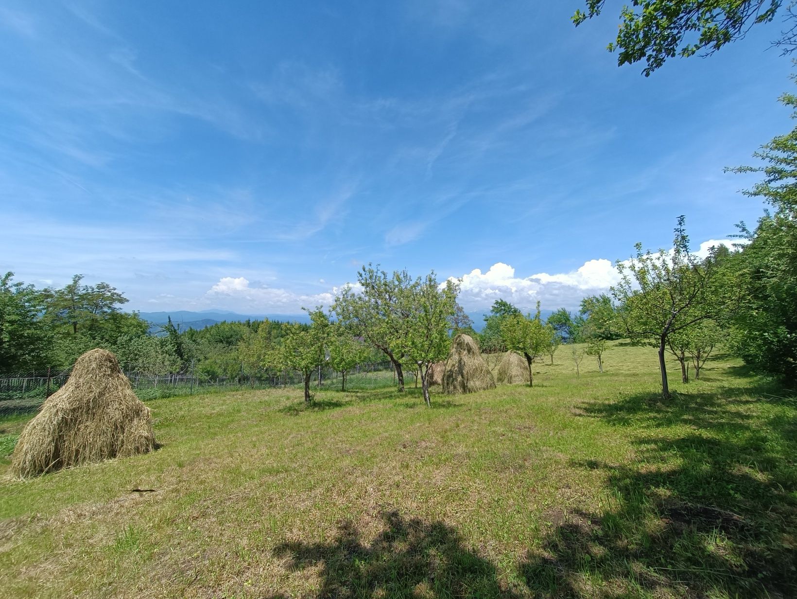 Casa și teren Câmpulung, com. Mioarele