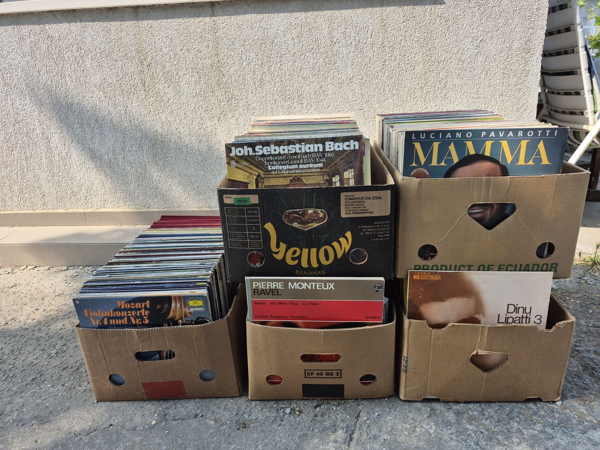 Vând Lot 150 Discuri Vinil colectie muzica clasica mixta pentru pick U