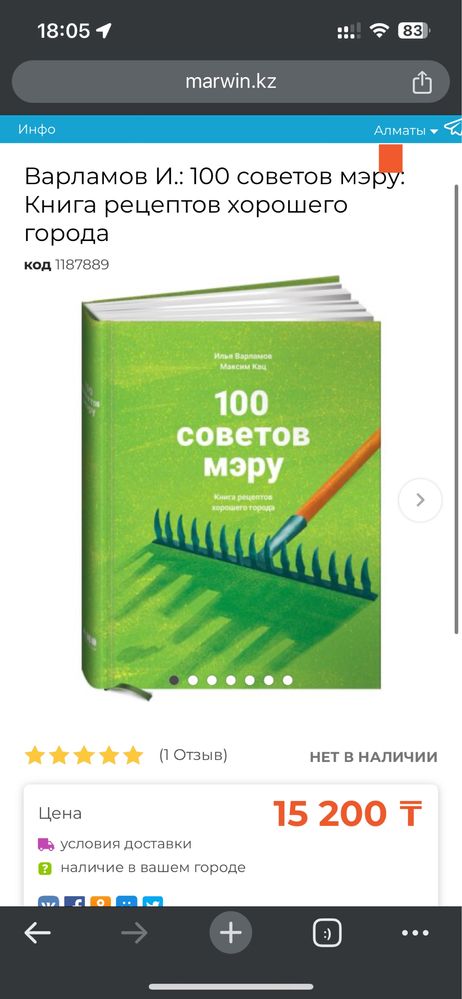 Книга 100 советов мэру