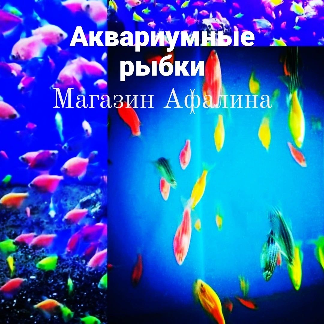 Аквариум 25л р-н Орбита1 магазин "Афалина"