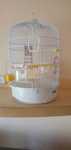 Colivie perusi 55x33