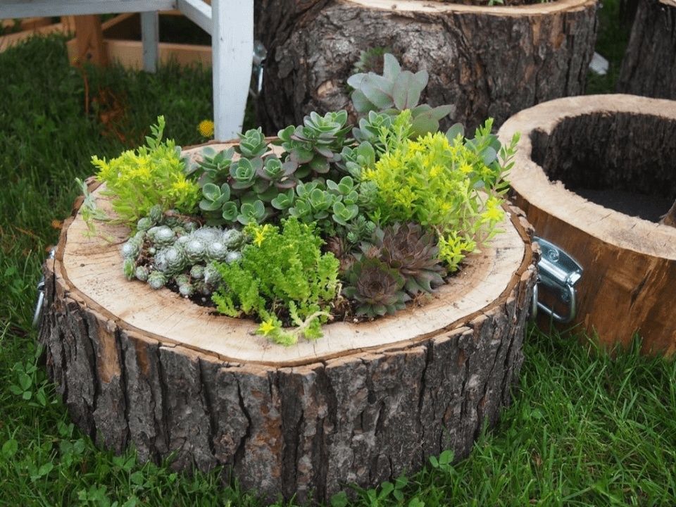 Ландшафт барпо киламиз