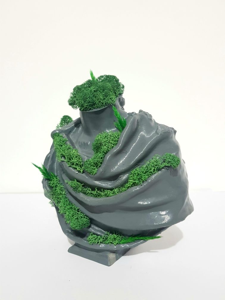 Bust printat 3D, cu licheni si plante stabilizate