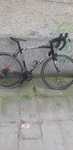 Specialized alliz