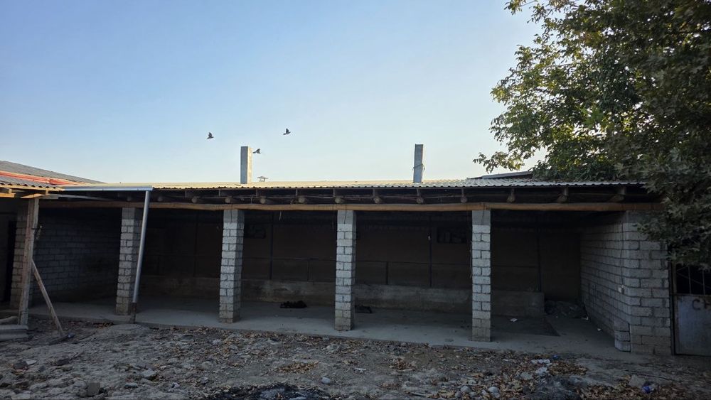 Ферма 10соток. Нурхает.