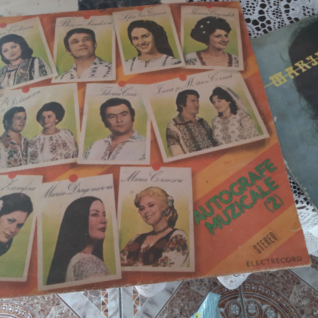Placi vinil cu artiști renumiti