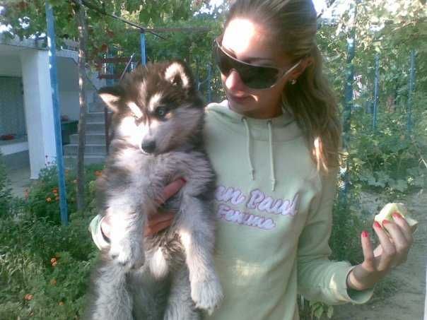 Нова Година БЕЗ СТРЕС от Пиратки Гледане на Кучета и Котки Къща с Двор