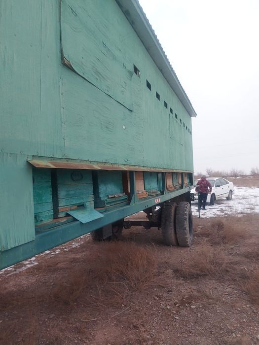 Пасека, улики, пчеловодство