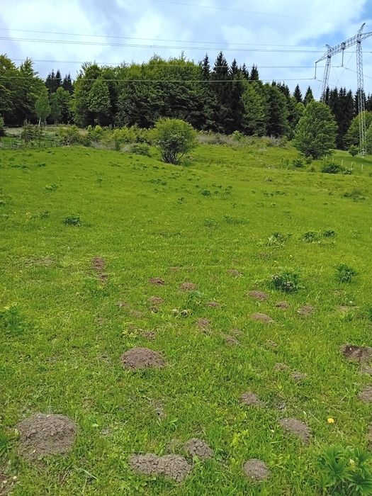 Vând teren intravilan Valean Doftanei zona poduri