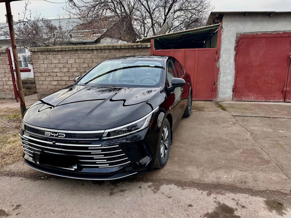 Byd chazor 1позиция