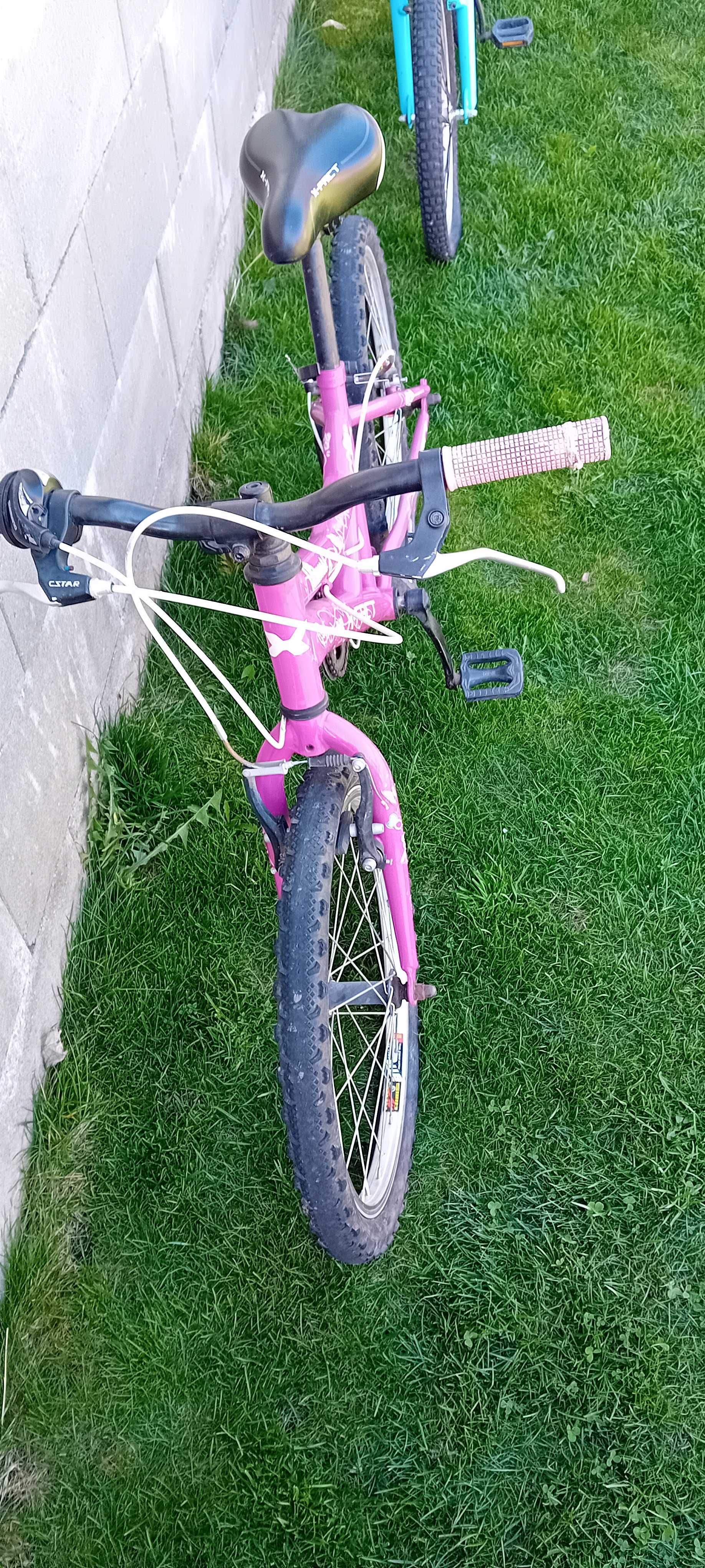 Bicicleta utilizata