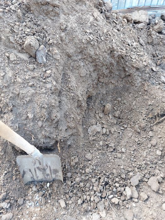 Навоз навоз кон шырыген