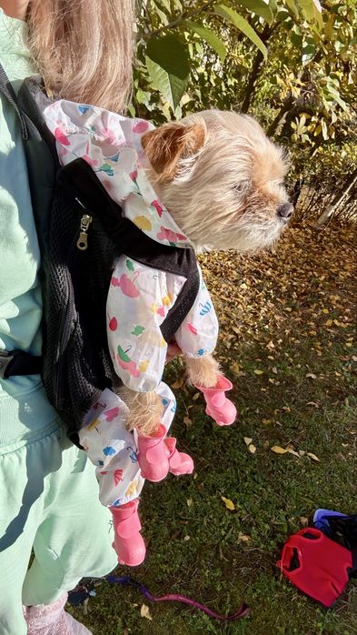 Marsupiu / ham adorabil pentru catei - confort, siguranta- L-XL