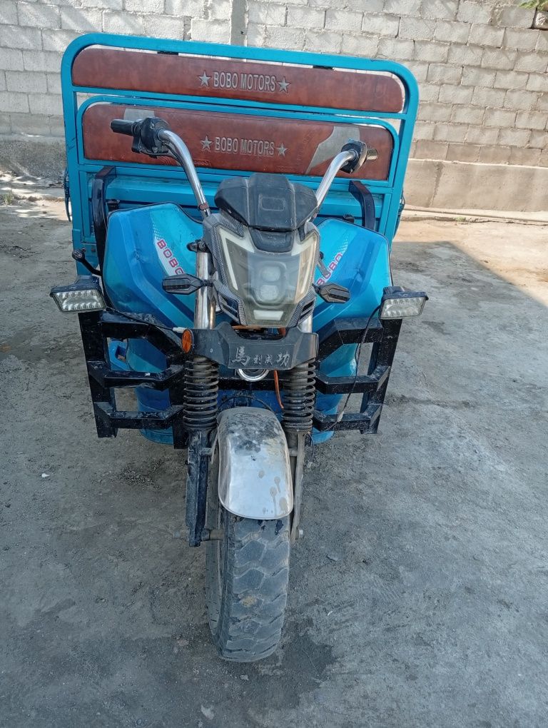 Matasekl elektron xolati zur