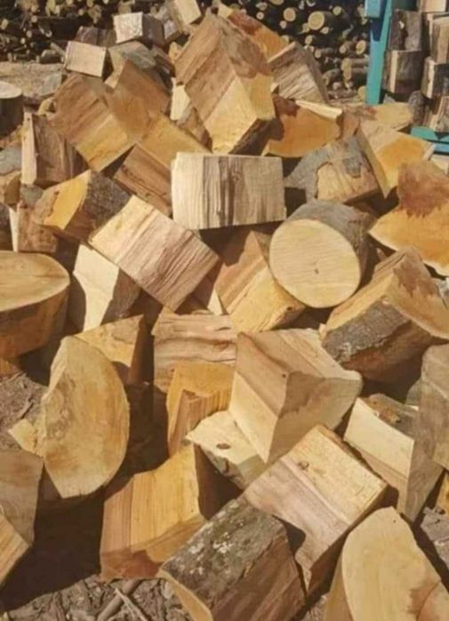 Lemne de foc esenta tare STEJAR, FAG, SALCAM