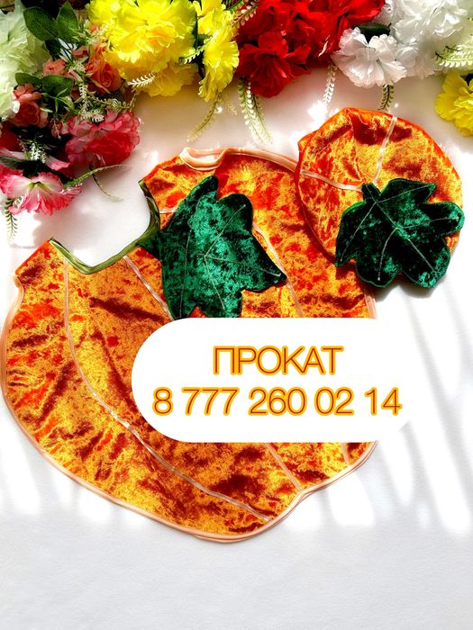 Костюм овоща тыква