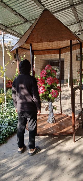 Valer har xil turdagi qushlar uchun.