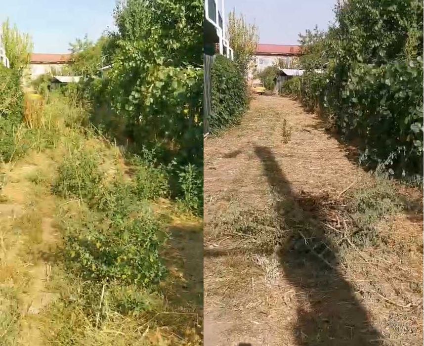 Curatare gradini - livada cosit defrisat tocat vegetatie