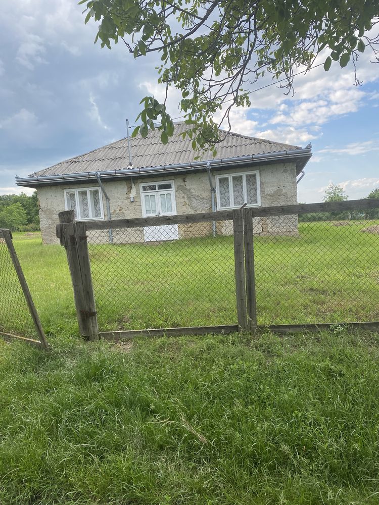 Casa de vanzare ionaseni