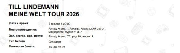 Продам билет на концерт Тилля Линдеманна