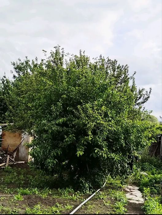 Продам дачу на Железнодорожных дачах