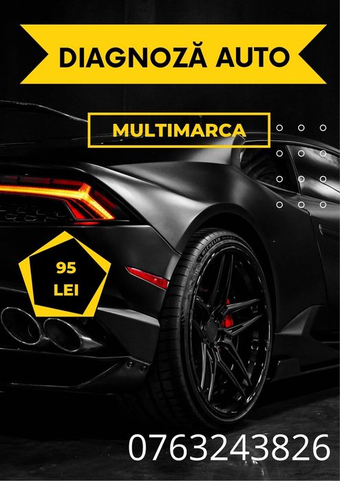 Diagnoza auto profesională/Tester auto