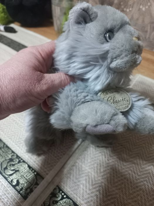 Продам кошечку  привозная