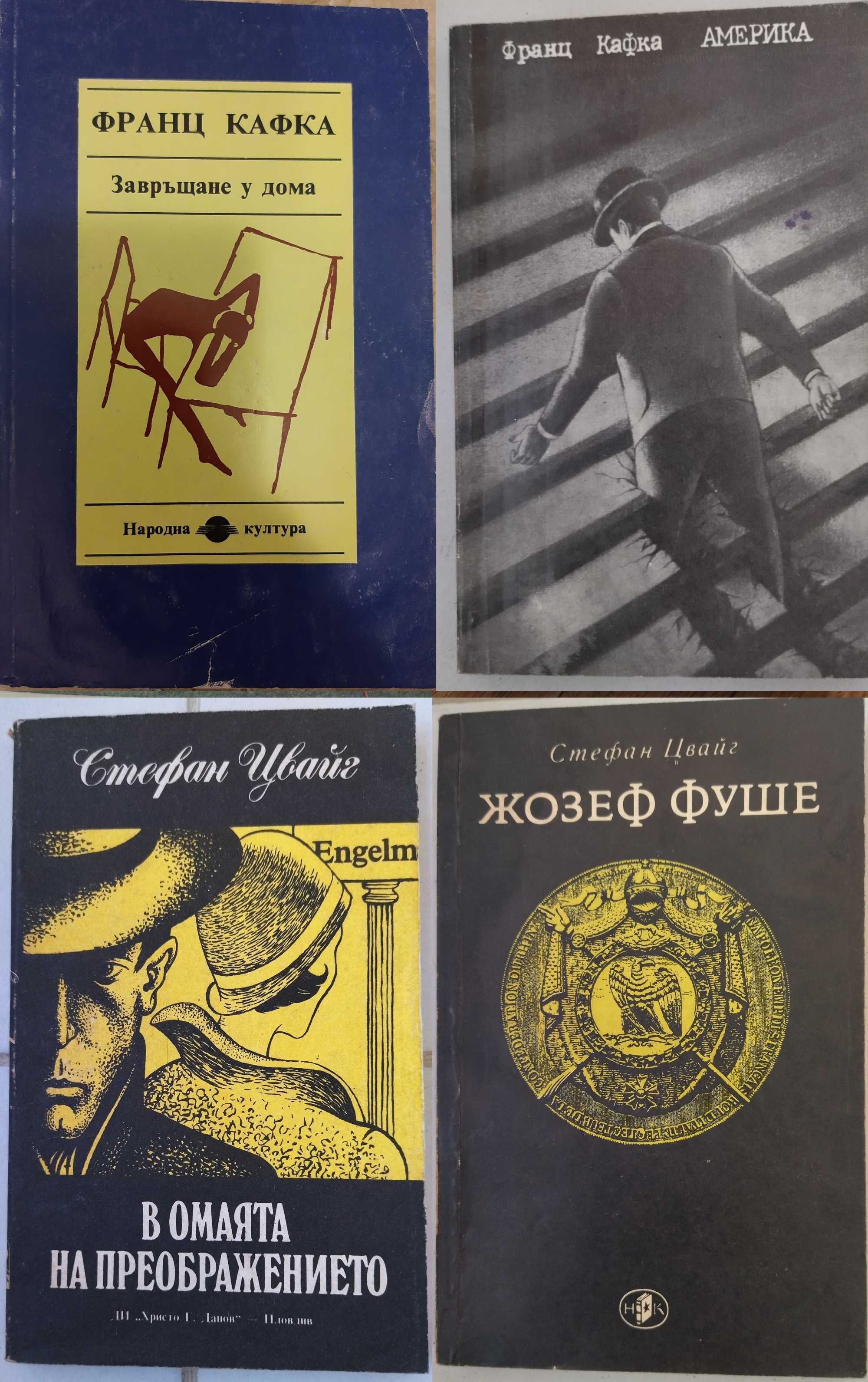 Данте,Гьоте,Цвайг,Моъм,Чехов,По,Кафка.Булгаков, Хесе,Дюма,Талев