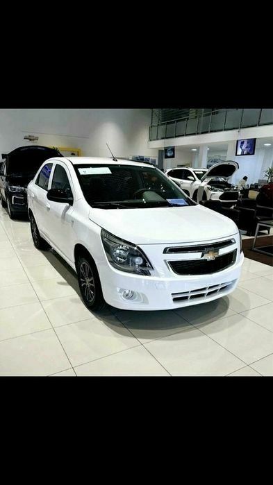 Cobalt midnight номизга примой шот спрафка 2025 салонда