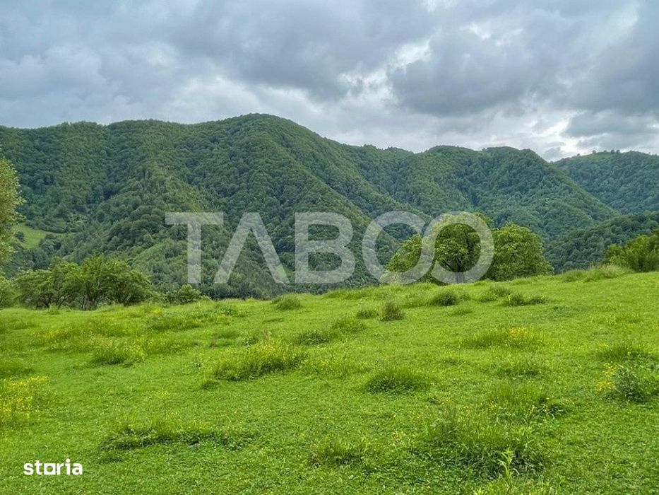 Teren intravilan de vanzare in Martinia de sus