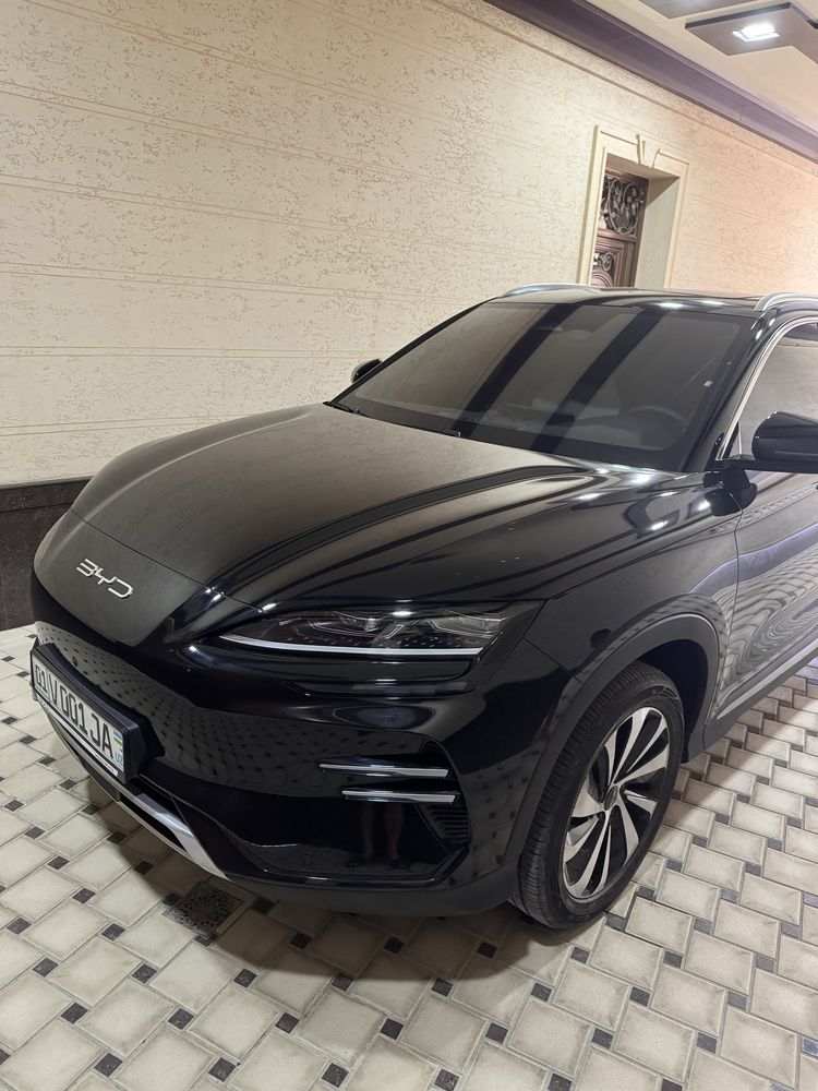 BYD champion 520 ofitsalni