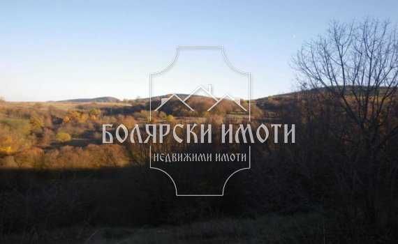 Парцел в с. Пушево