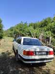 Audi 100 C4 2.0 mono