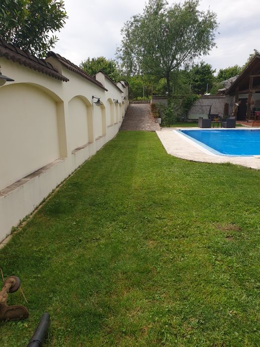 Tuns iarba, tocat crengi, toaletat pomi și gard viu