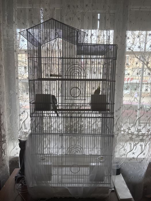 Попугаи кореллы(пара)+2 клетки(1 переносная,2 основная)+корм