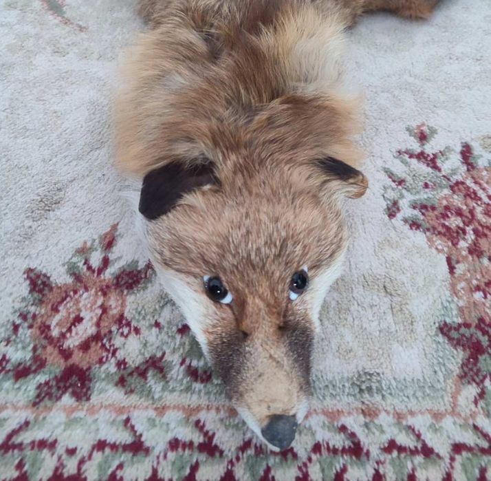 Яка от лисица естествен косъм цяла лисица