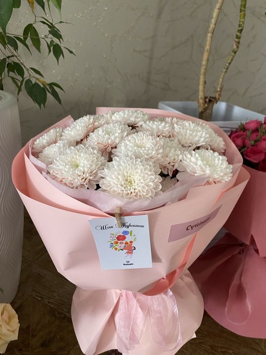 свежы буу гулдер