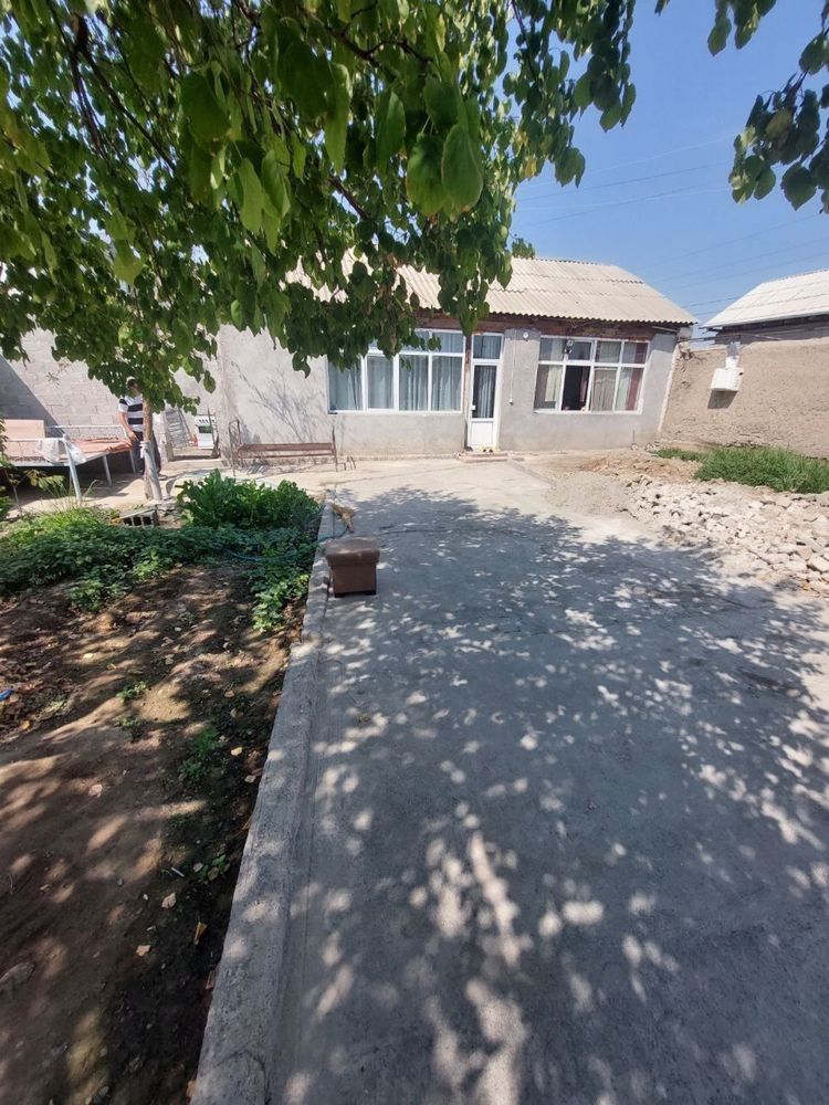 Ховли уй сотилади 52500$