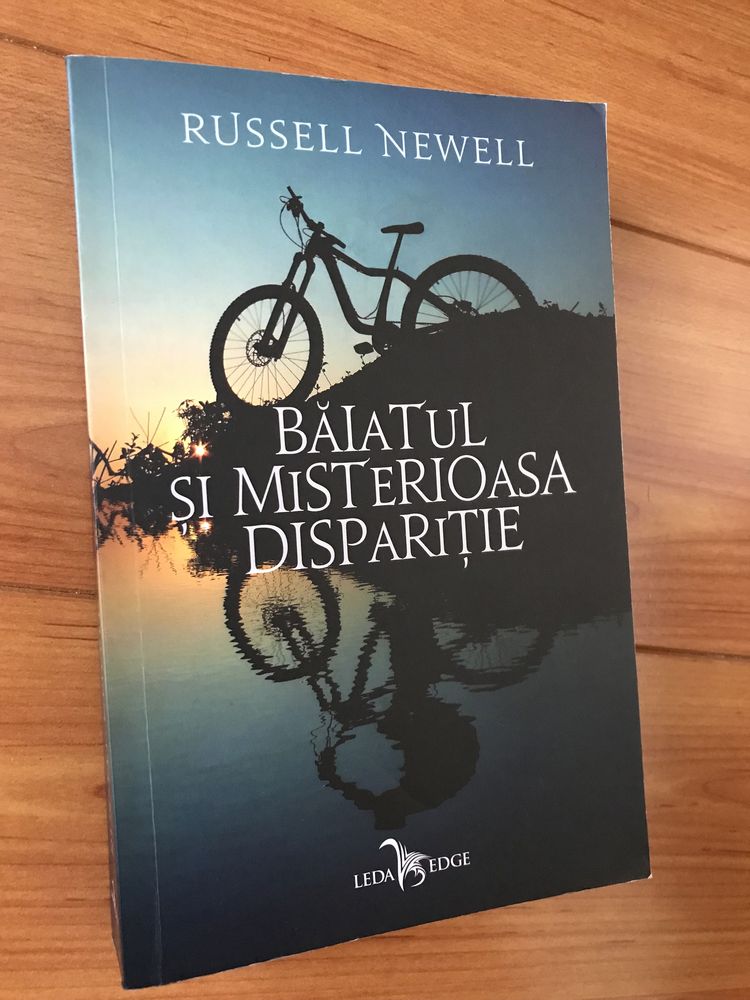 “Băiatul și Misterioasa Dispariție”