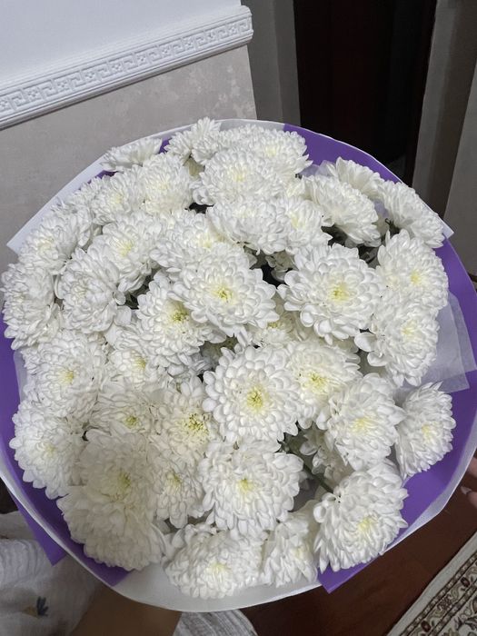 Цветы 20к можно за 10к