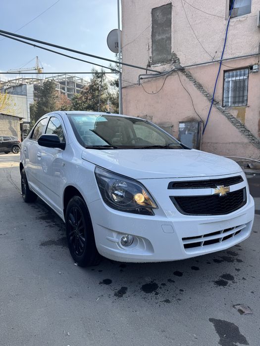 Kobalt midnayt MSM full 2026