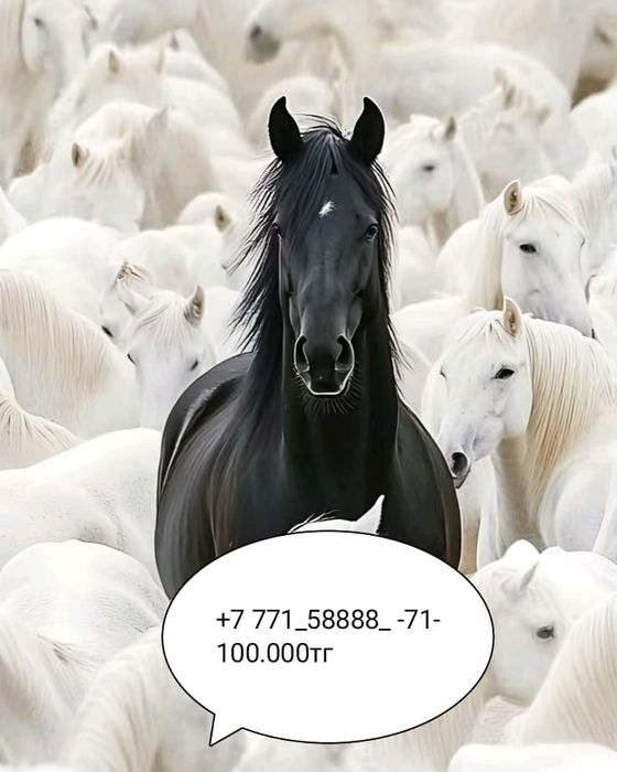 Продажа сем-карты нов.