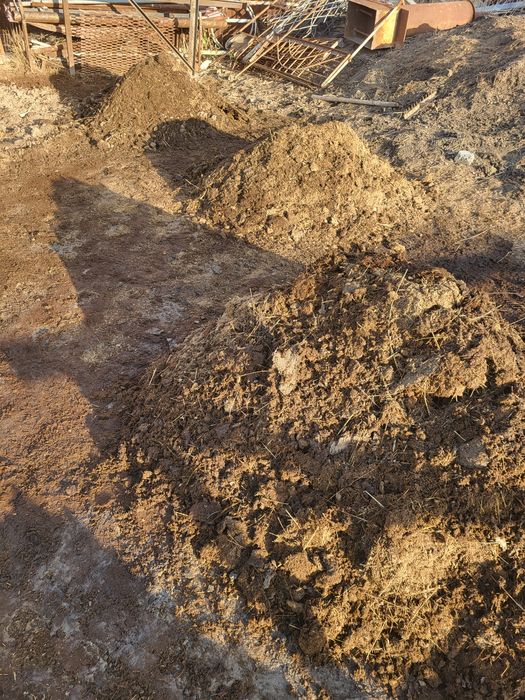 Навоз жылқыныкы.