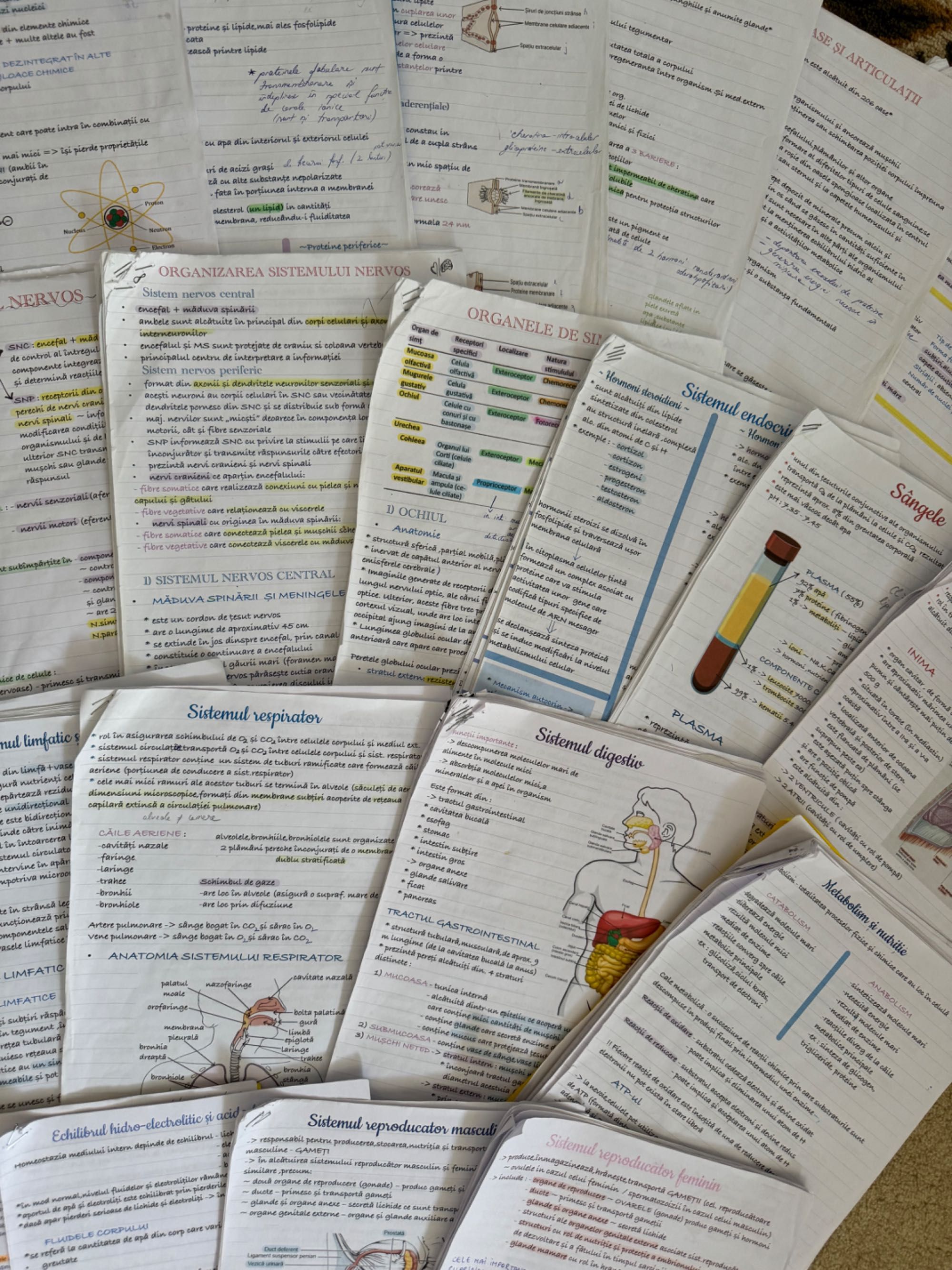 Notițe Barrons pentru admiterea la medicina