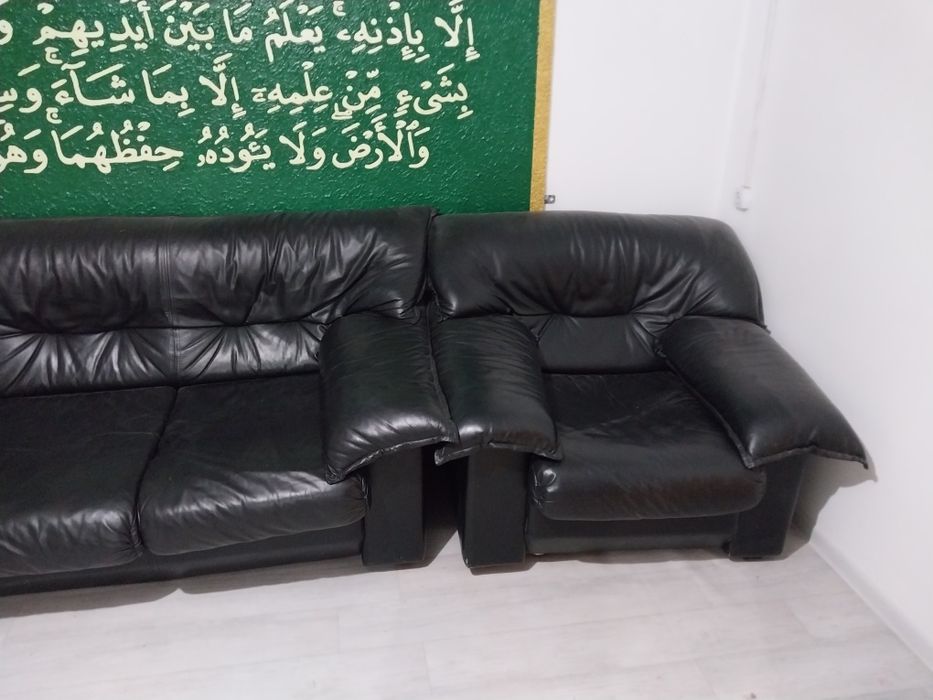 Мебель зета кожанный