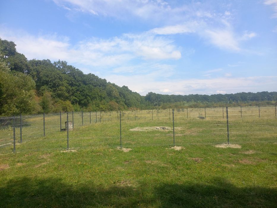 Teren Harman (parcele)pentru cabane A-Frame,cabane pe piloni,containar