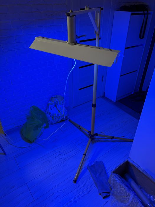 ФотоЛампа Philips TL 20W/52 G13