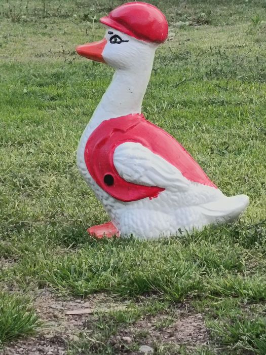 Pitici și decorațiuni de grădină