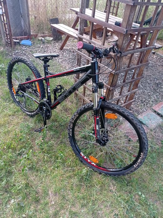 Biciclete bulls copii adulti
