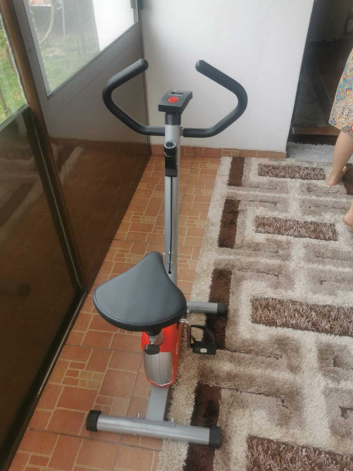 Bicicleta fitness Ffittronic